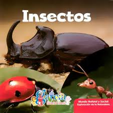 Insectos