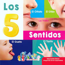 Los 5 sentidos